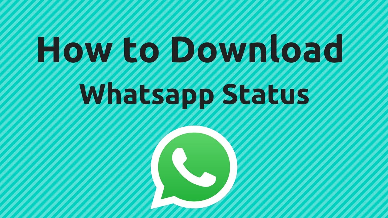 Cara Termudah Download Status  WhatsApp SouthPortEvents org